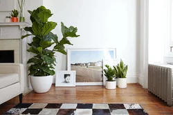 Flowers in the living room interior style