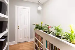 Photo of indoor plants for the hallway