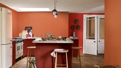 Terracotta Kitchen Design Photo