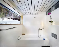 Bathroom Interior With Slatted Ceiling