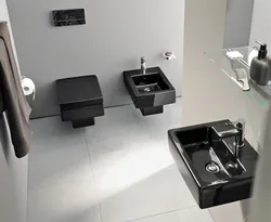 Photo of black toilet bath interior