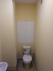 Design for painting a toilet in an apartment