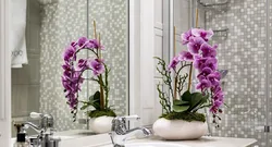 Интерьер с растениями в ванной