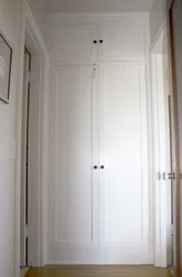 Дверь в кладовку в квартире фото варианты