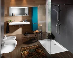 Design Project Of A Bathroom With Shower And Bathtub Photo