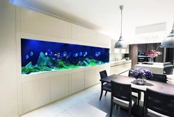 Aquarium in the kitchen photo design