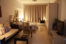 Living room bedroom 21 sq m design