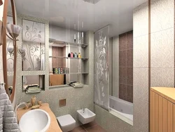 Panel house bathroom design