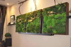 Moss panel in the kitchen interior