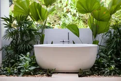 Дизайн ванны с пальмами