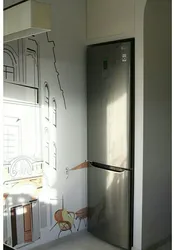 How to install a refrigerator in the hallway photo
