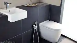 Bathroom Interior With Hygienic Shower Photo