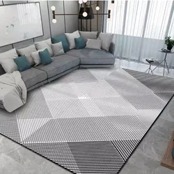 Modern carpets for the floor in the living room in the interior