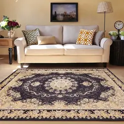 Modern Carpets For The Floor In The Living Room In The Interior