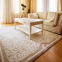 Modern carpets for the floor in the living room in the interior