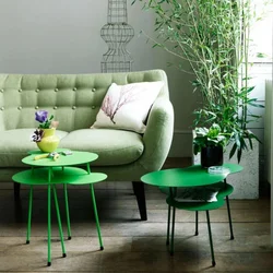 Green sofa in the interior of the kitchen living room