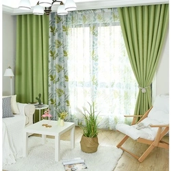 Green Curtains Living Room Design Photo