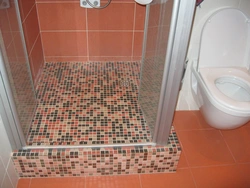 Photo of a bathroom with a tray instead of a bathtub