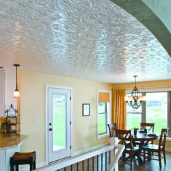 Apartment ceiling tiles photo