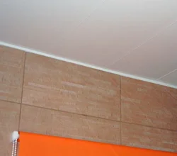 Плинтус на потолке в ванной фото