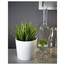 Artificial plants in the kitchen interior