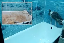 How to update a bathtub photo