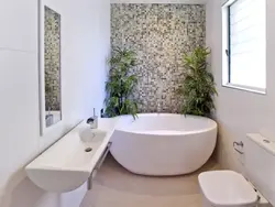 Oval bathtubs in the interior photo