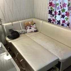 Спальный диван на кухню фото