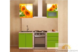 Kitchen sunflower photo