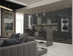 Kitchen living room graphite design