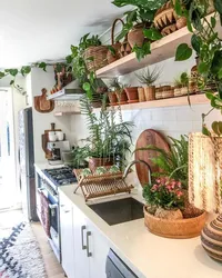 Shelves For Flowers In The Kitchen Interior