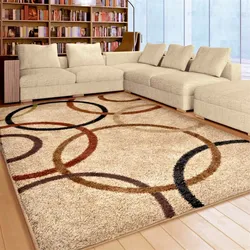 Carpets in the living room interior