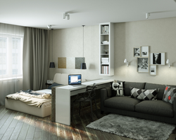 Room design 17 sq m in a one-room apartment with a window
