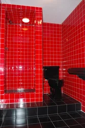 Black And Red Bathroom Design Photo