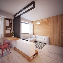 One Room Apartment Studio Design