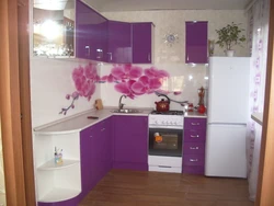 Purple Small Corner Kitchen Photo