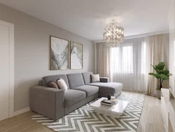 Small gray living room design