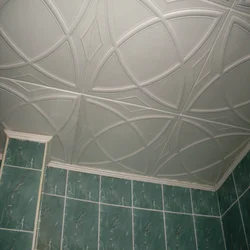 Ceiling Tiles For Bathroom Photo