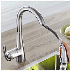 Kitchen Faucet With Flexible Hose Photo