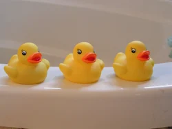 Duck in bath photo