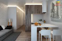 Interior of a studio apartment 18 sq m with kitchen