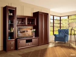 Furniture shatura cabinets in the living room photo