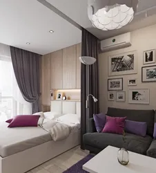 Интерьер комнаты в однокомнатной квартире с кроватью и диваном фото