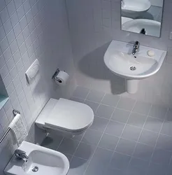 Bathroom Design With Bidet And Toilet