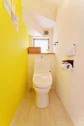 Painting a toilet in an apartment photo