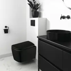 Bathroom with black toilet design