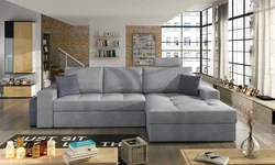 Sofa with sleeping place photo in the interior