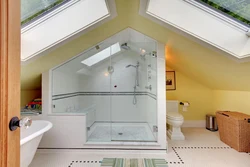 Roof bathroom design