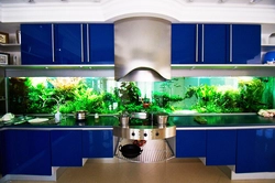 Aquarium in the kitchen design photo in the interior