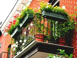 Flowers On The Loggia Photo